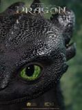  Toothless Life Size Bust - How to Train Your Dragon - Elite Creature Collectibles 