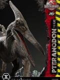  Pteranodon - Jurassic Park III - Prime 1 Studio 