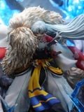  Sesshomaru Dragon Strike - Inuyasha - TY Studio 