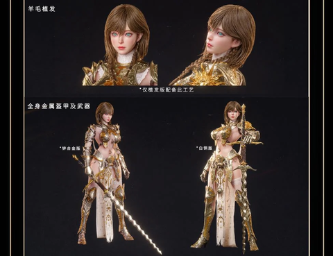  Hwit ole-Phoeleo - Fusion Fantasy X DAMTOYS 