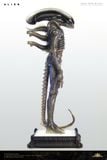  INNER LIFE Alien - Deep Tale Studio 