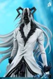  Kurosaki Ichigo - Bleach - Hang Studio 
