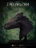  Toothless Life Size Bust - How to Train Your Dragon - Elite Creature Collectibles 
