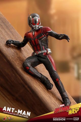 Ant-Man - Marvel - Hot Toys 