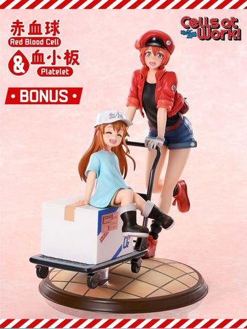  Red Blood Cell & Platelet - Cells at Work - Prime 1 Studio 