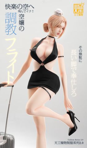  Flight Attendant - TGZW Studio 