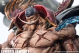  Whitebeard - One Piece - KuangFeng Studio 