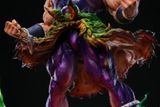  Broly - Dragon Ball - Miao x Top 1 Studio 