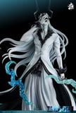  Kurosaki Ichigo - Bleach - Hang Studio 