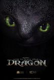  Toothless Life Size Bust - How to Train Your Dragon - Elite Creature Collectibles 