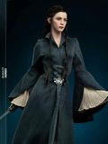  Arwen - The Lord of the Rings - Infinity Studio 