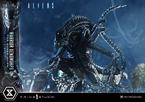  Warrior Xenomorph - Aliens - Prime 1 Studio 