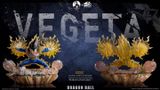  Vegeta - Dragon Ball - INSPIRATION HOUSE Studio 