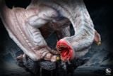  Khezu - Monster Hunter - S6 Studio 