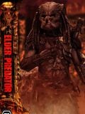  Elder Predator - Predator 2 - Prime 1 Studio 
