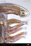  INNER LIFE Alien - Deep Tale Studio 