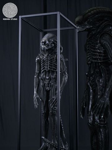  Scorched Xenomorph - Alien: Romulus - Reborn Studio 