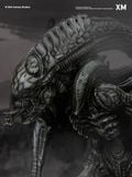  Alien Hive - Warrior - XM Studio 