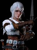  Ciri of the Cintra - The Witcher 3: The Wild Hunt - PureArts Studio 