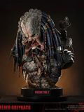  Elder Greyback Bust - Predator - DEEPMYTH Studio 