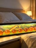  Dragon Ball - Dragon Ball - Gulu Studio 