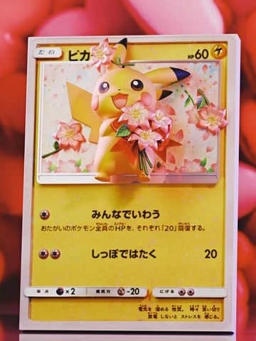  Pokemon Flowers - Pikachu - Geisha Studio 
