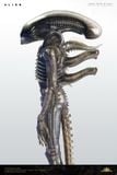  INNER LIFE Alien - Deep Tale Studio 