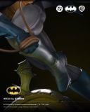  Batman Ikigai - DC - Tsume Art 