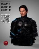  The Dark Knight Trilogy Batman - Batman - Infinity Studio X Penguin Toys 