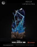  Sung Jinwoo IKIGAI - Solo Leveling - Tsume Art 