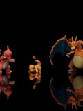  Charizard Evolution - Pokemon - Miu Studio 