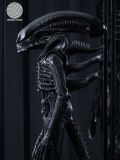  Scorched Xenomorph - Alien: Romulus - Reborn Studio 