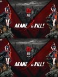  Akame - Akame ga Kill - Manta Studio 