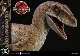  Velociraptor - The Lost World: Jurassic Park - Prime 1 Studio (LMCJWF-03) 