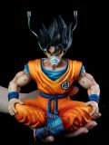  Goku Healing Pod - Dragon Ball - DU Studio 