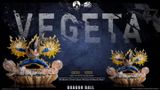  Vegeta - Dragon Ball - INSPIRATION HOUSE Studio 