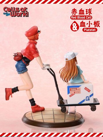  Red Blood Cell & Platelet - Cells at Work - Prime 1 Studio 