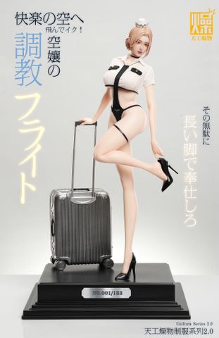  Flight Attendant - TGZW Studio 