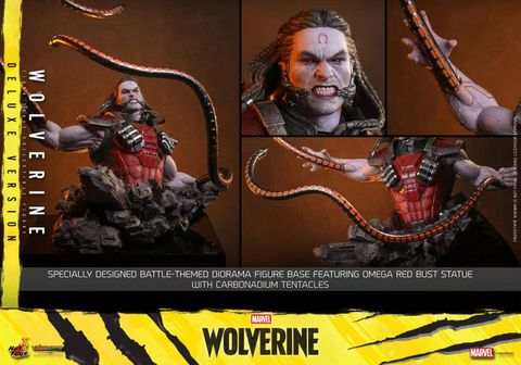  Marvel Wolverine – Wolverine - Hot Toys 