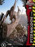  Pteranodon - Jurassic Park III - Prime 1 Studio 