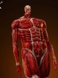  Colossal Titan - Attack On Titan - WuShiMoWan Studio 