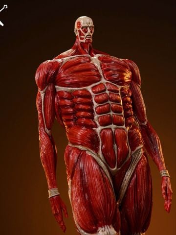  Colossal Titan - Attack On Titan - WuShiMoWan Studio 