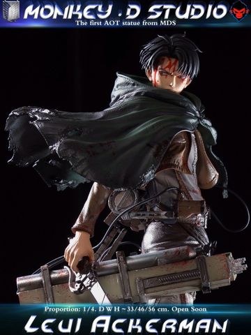  Levi Ackerman - Attack On Titan - Monkey D Studio 