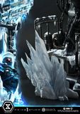  Mr. Freeze - Batman - Prime 1 Studio 