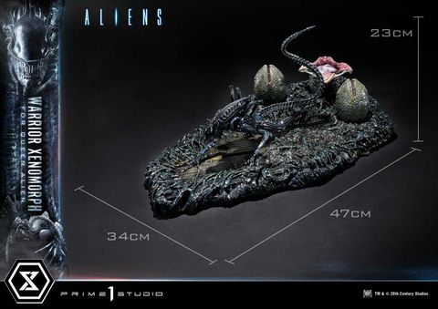  Warrior Xenomorph - Aliens - Prime 1 Studio 