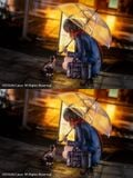 Rainy Day Encounter - EUSUN 