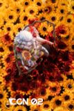  Flandre Scarlet - Touhou Project - ACGN 02 Studio 