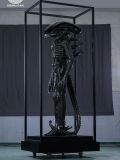  Scorched Xenomorph - Alien: Romulus - Reborn Studio 