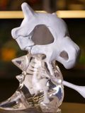  Cubone - Pokemon - Kojiro Studio 