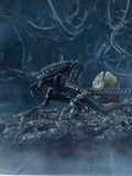  Warrior Xenomorph - Aliens - Prime 1 Studio 